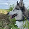 Heidy sucht ein neues Zuhause