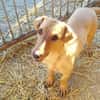 Lilli sucht ihre Familie