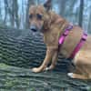 Emily🧡🧡🧡sucht Herzensmenschen