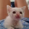 Lily Rose, la petite mignonne