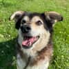 Clara, fitte Seniorin su. 1. Zuhause