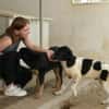 Möchten Sie Peppe adoptieren?