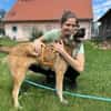 Wunderbare Rey  alles auf Anfang!🐶