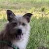 Celina sucht eine aktive Familie
