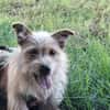 Celina sucht eine aktive Familie