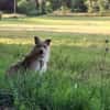 Celina sucht eine aktive Familie