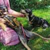 Unser Gute-Laune-Hund Arthur