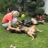 SABINA -ruhig & verschmust-