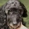 Xaver - Senior sucht Senior:in