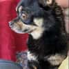 Lidia in 82362 Weilheim #