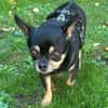 Lidia in 82362 Weilheim #