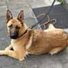 Runa sucht sportliche Menschen