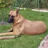 Runa sucht sportliche Menschen