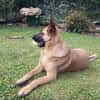 Runa sucht sportliche Menschen