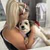 Liebevoller, kleiner Familienhund