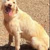 Priscilla sucht eine liebe Familie