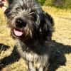 Greysy super lieb