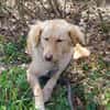 GINA 🧡🧡🧡 sucht Familienanschluss