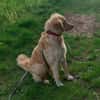 GINA 🧡🧡🧡 sucht Familienanschluss