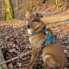 Lee sucht ein neues Zuhause