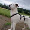 BUBBLES - liebe Seele sucht Endstelle