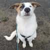 BUBBLES - liebe Seele sucht Endstelle