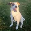 BUBBLES - liebe Seele sucht Endstelle
