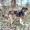 Lieber,sportlicher Mischa