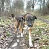 Lieber,sportlicher Mischa