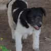 Oskar will die Welt entdecken