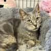 MISSY en SOS URGENT