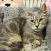 MISSY en SOS URGENT