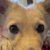 Gnocchi sucht eine aktive Familie