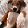 Lotti sucht ihre Familie