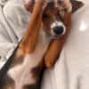 Lotti sucht ihre Familie