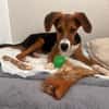 Lotti sucht ihre Familie