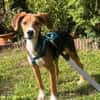 Lotti sucht ihre Familie