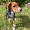 Lotti sucht ihre Familie