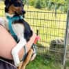 Sonnenschein Leonie - Zuhause gesucht