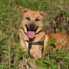 Mateo sucht Zuhause