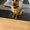 Mateo sucht Zuhause