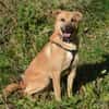 Mateo sucht Zuhause