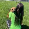 Terrier Mischling sucht aktive Familie