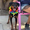ROSCO (Maria)