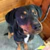 ROSCO (Maria)