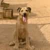 ROLY (Maria)
