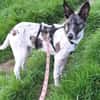 Franka❤ sucht ihre Familie