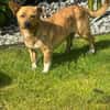 Freya ❤ sucht ihre Familie