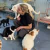 Viele arme Seelen suchen ein Zuhause