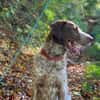 Rudi sucht zweite Chance